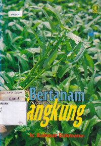 Bertanam Kangkung