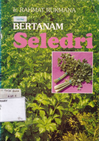 Bertanam Seledri