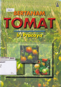 Bertanam Tomat