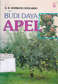 Budi Daya Apel