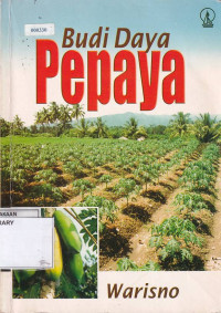 Budi Daya Pepaya