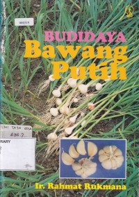 Budidaya Bawang Putih