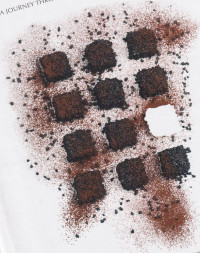 Chocolate Sommelier : A Journey Through The Culture Of Chocolate
