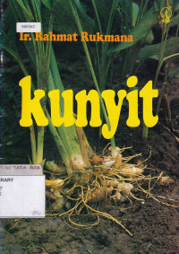 Kunyit