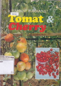 Tomat Cherry